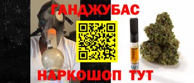 дмт Гагарин