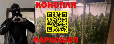 гашишное масло Гай