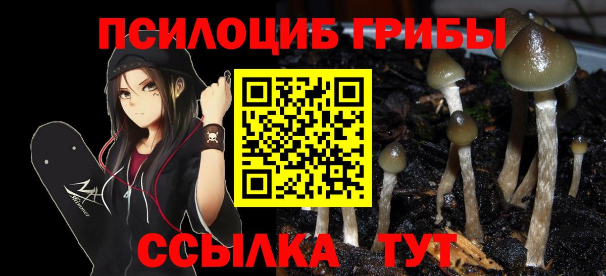 Псилоцибиновые грибы GOLDEN TEACHER  Вход с VPN  Заречный 